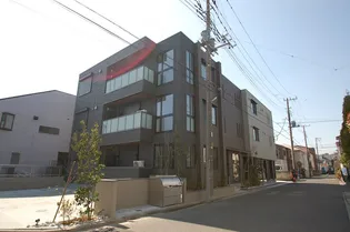 オーキッドの画像