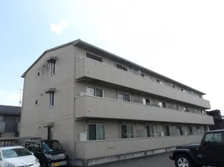 ヴァンサンカンの画像