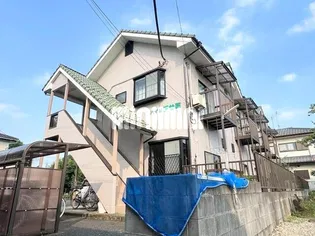 ハイツアサミの画像