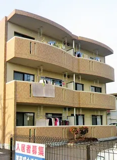 メイプルリーフの画像