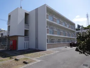 沖縄県南城市大里字稲嶺【アパート】の外観