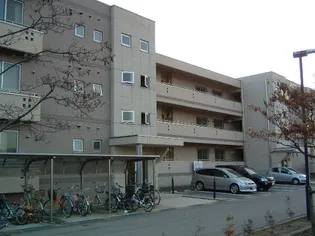 ドルチェ光陽の画像