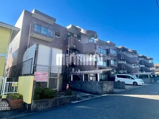 ドルチェの画像