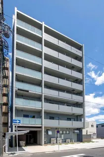 コートシャインの画像