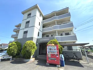 バーシティハウス泉A【4階】の外観