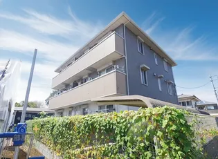 シェーン アネーロの画像