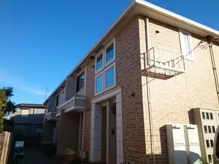 ピュア グレイスの画像