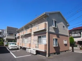 コートフローラルの画像