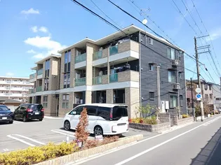 パーシモンの画像