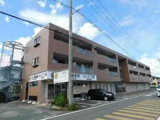 コンフォート Mの画像