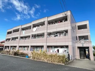 M エターナルの画像