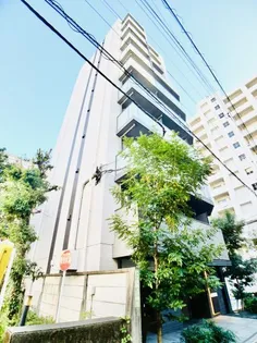 コスモリード御茶ノ水レジデンス【7階】の外観