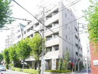 エルカスティージョ ムサシの画像
