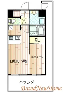 オリエンテム宿院南【4階】の間取り