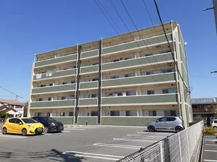 M'S 25の画像