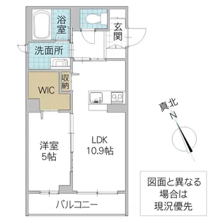 リベラル五軒町【1階】の間取り