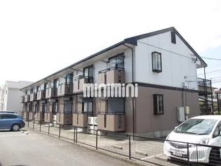 セレーナKの画像