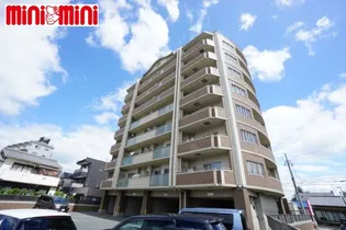 ピーノトキワの画像