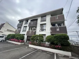 カサベルテ ハラシマの画像