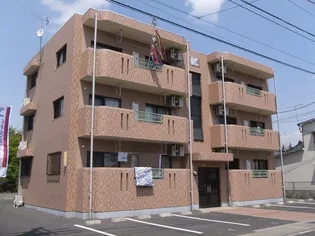 Y&MドリームIIの画像