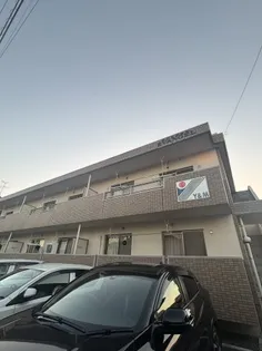 エバンジェルの画像