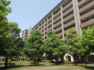 クリオレジダンス東京の画像