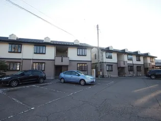 サン アムール英の画像