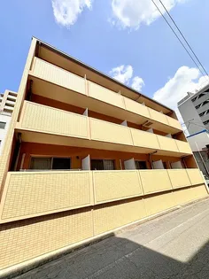 アレグリアカーサの画像