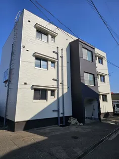 ファーストクラス桜の画像