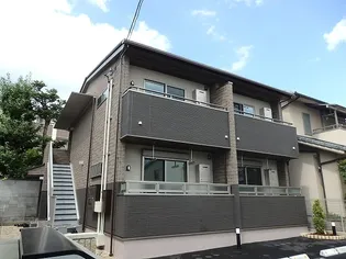 セントーレアの画像