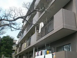 グランシティ小金井の画像