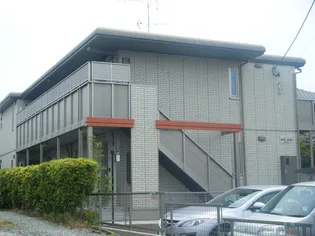 WHITE HOUSE SUZUKAの画像