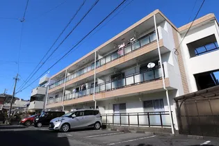 ハイツアオシマ【3階】の外観