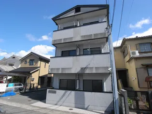 グランドールカキノキの画像