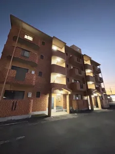 メゾンドールの画像