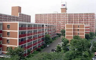 URリバーサイドさぎすの画像