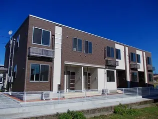 トーレスの画像