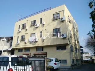 丸山ハイツ【2階】の外観