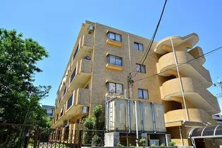 コメットの画像