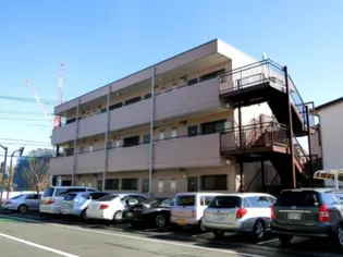 コスモフライトの画像