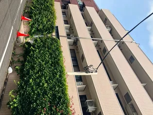 ワールドパレス学芸大学の画像