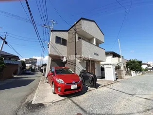 ベルカーサ花畑の画像