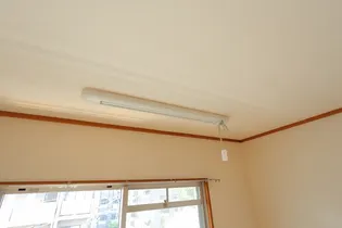 スノーランド城西【4階】の内装