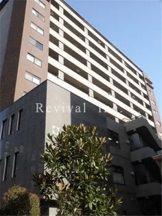 MARSH FIELD YONBANCHOの画像