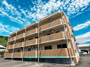 ユーミーブライトの画像