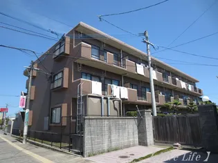 サザンコンフォートの画像