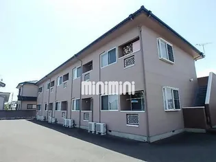 YMパークの画像