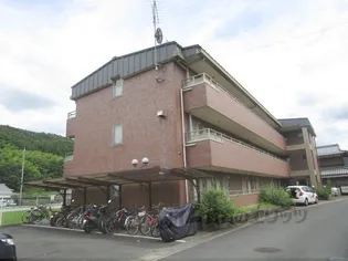 シャンクレール小桜【3階】の外観