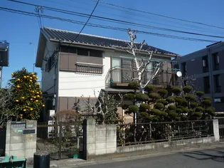 グレース中村の画像