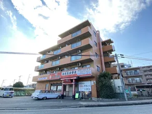 パストラルオオサワの画像